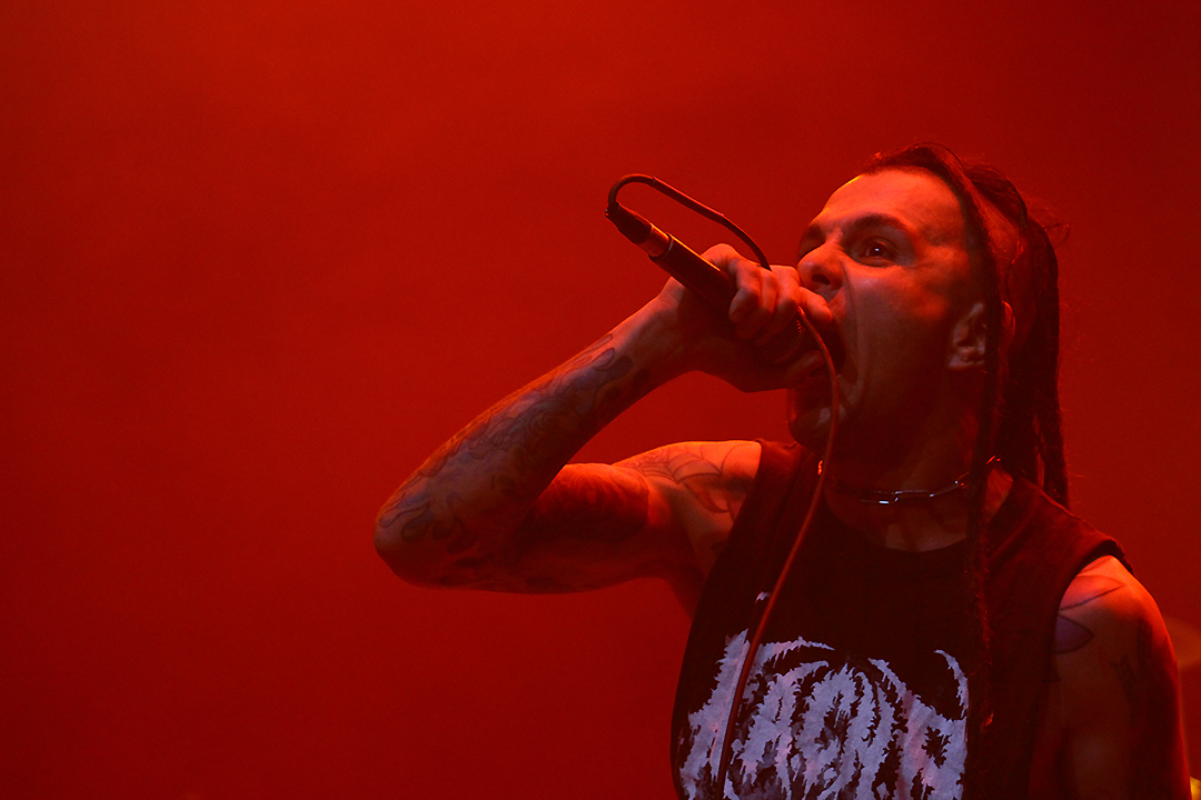 Gutalax: Cacofonía de Grind, Papel Higiénico y Descontrol